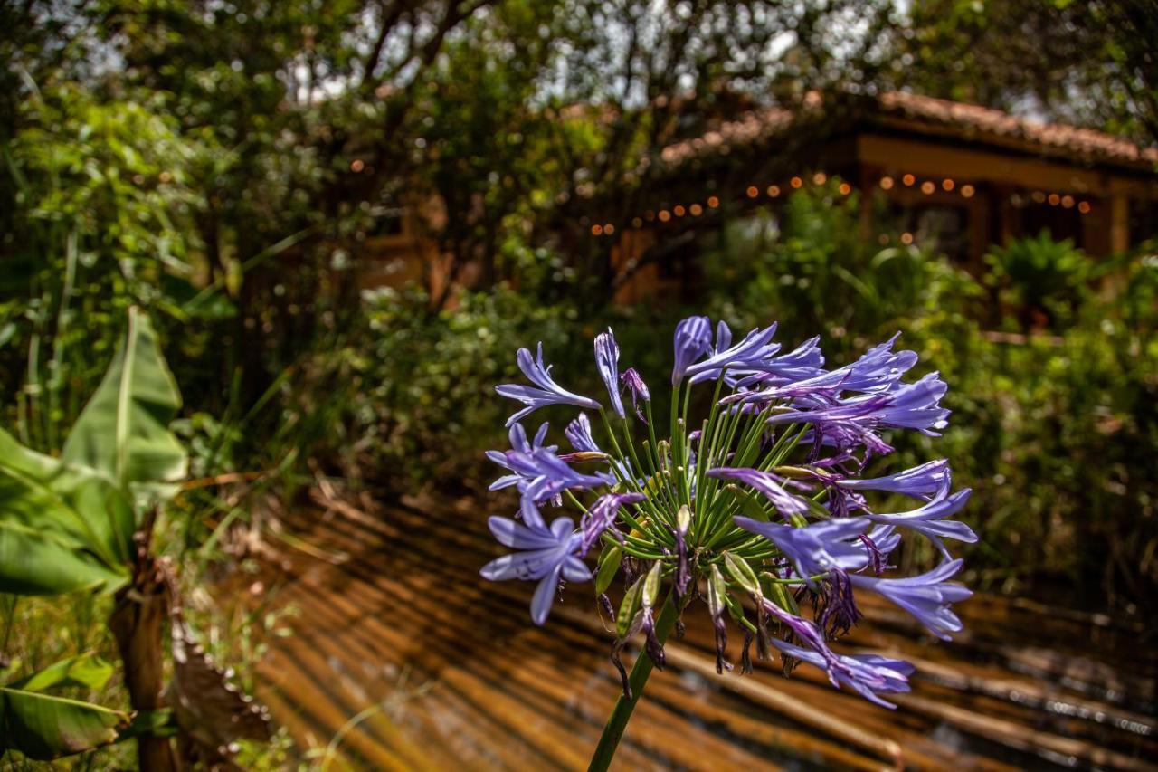 Clavellino House En Villa De Leyva - Tranquilidad Y Naturaleza En Reserva Natural Urbana! Exterior foto